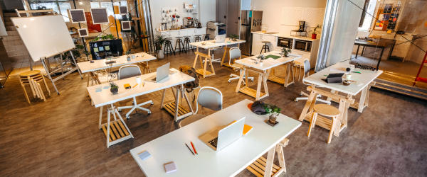 The successful university startup incubator