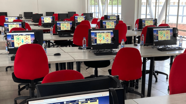 What is the best business simulation game?